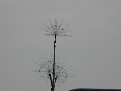 ���̊�n�ɂ��肻���ȃA���e�i