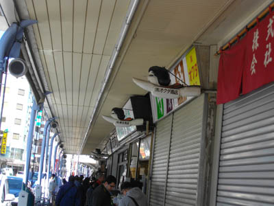 �I�u�W�F�̂悤�ȊŔ�