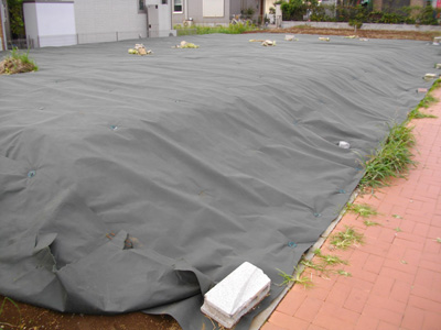 ���z�̓��̂悤�ȗ��ߋ�