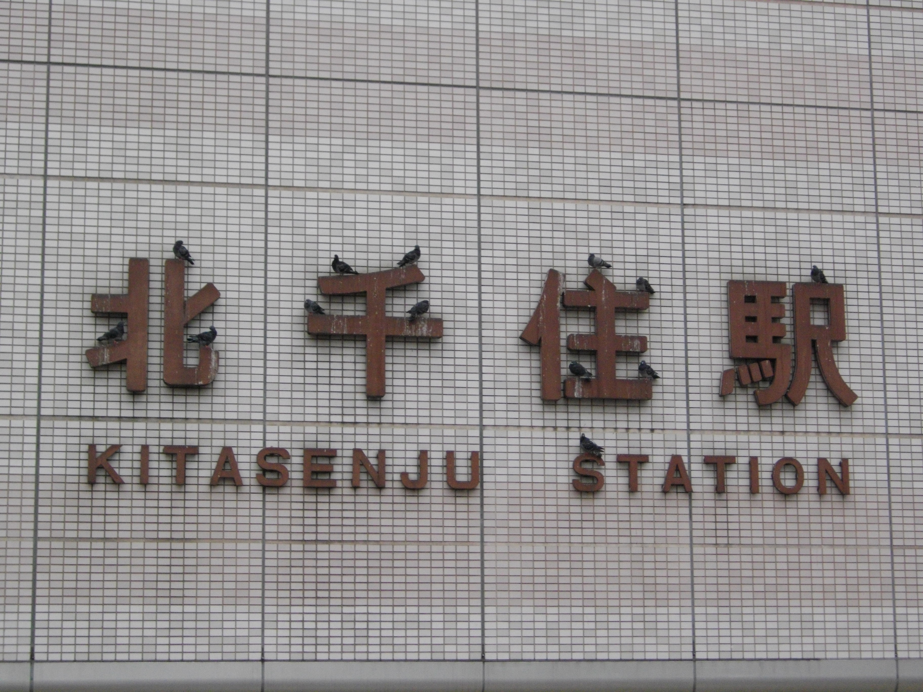 �w�Z�x���l�C���ۂ��Łc