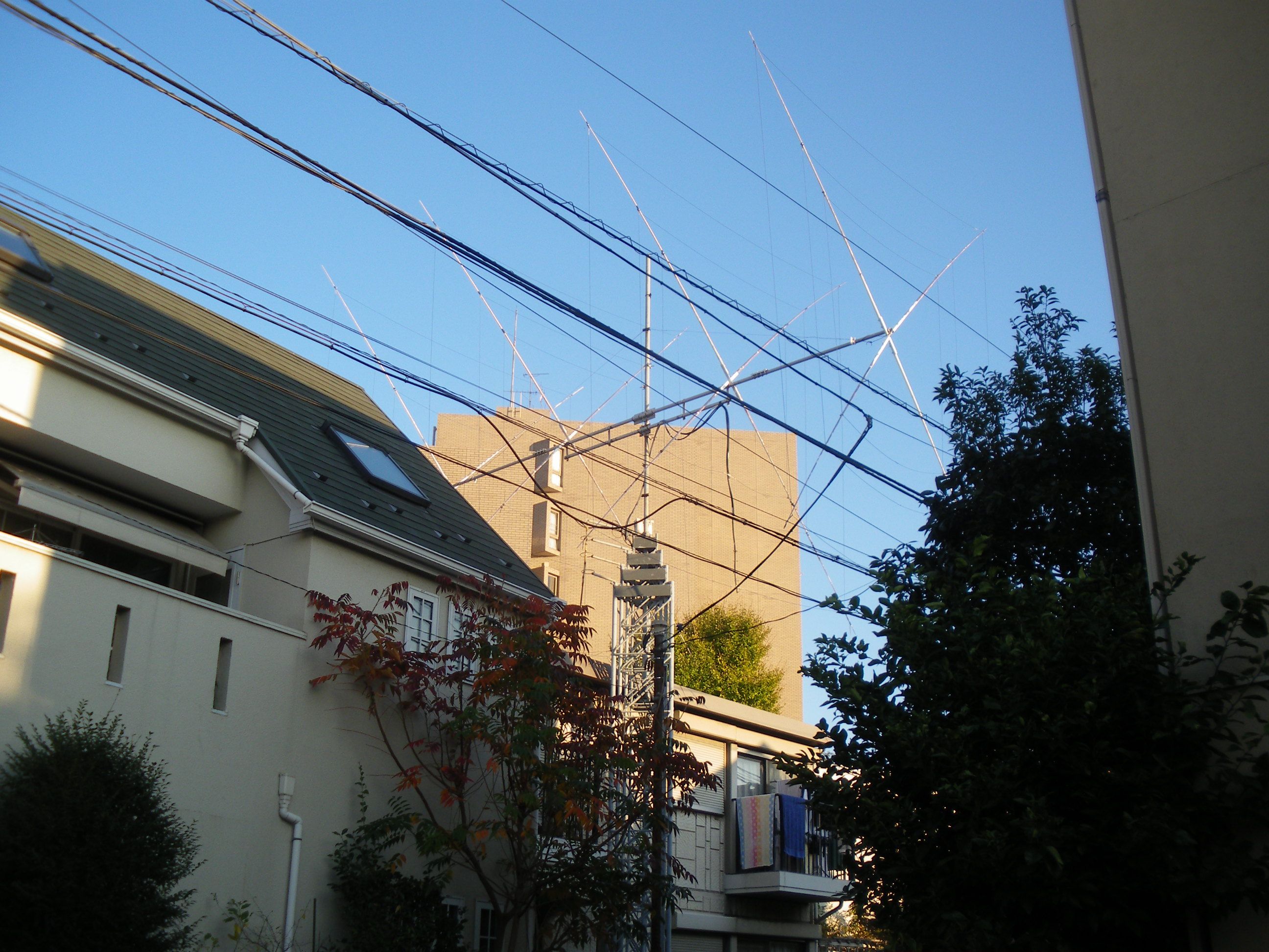 ��X�w�߂���