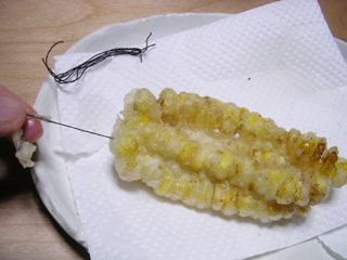 �R�[���g��