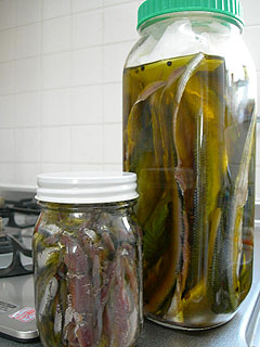 �T���}�̋���A���`���r