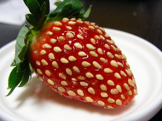 ���܃C�`�S