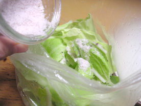 �ڕ��ʃ��V�s