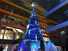 �e�T���^�̖{�C�h�b�L��