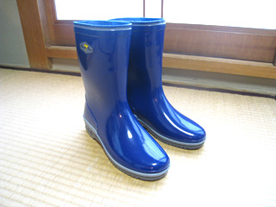 ���w���ɂ������b�A���w���̂��킳�b��������