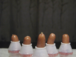 �ܖ{���N���g�\�[�Z�[�W