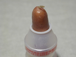 ���N���g�\�[�Z�[�W