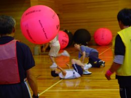 26.jpg (12132 �o�C�g)