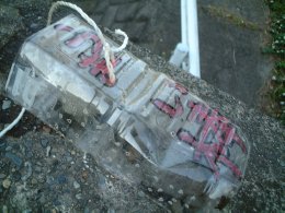 sakana28.jpg (17185 �o�C�g)