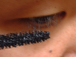 040305_128.jpg (10234 �o�C�g)