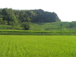 040806_040.jpg (22176 �o�C�g)