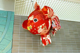 040903_036.JPG (16201 oCg)