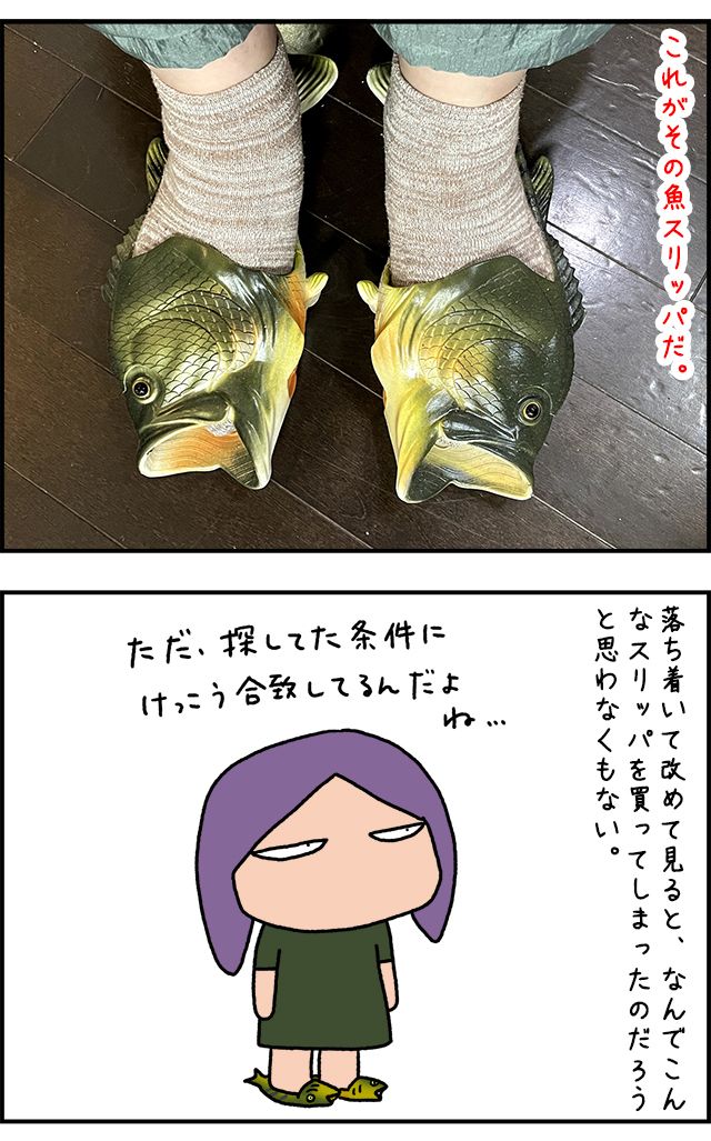 fishslipper_01.jpg