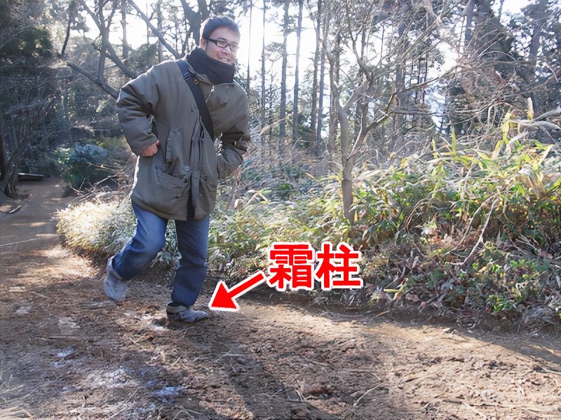 20_photos_v2_x2.jpg