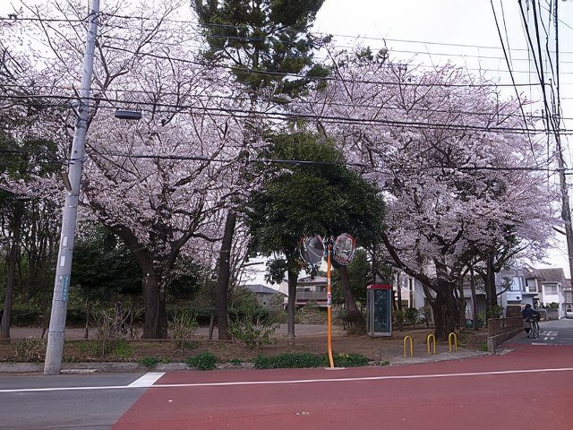 007-topaz-standard v2-640w.jpg