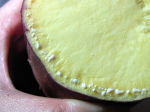 RIMG3398-topaz-standard v2-2x.jpg