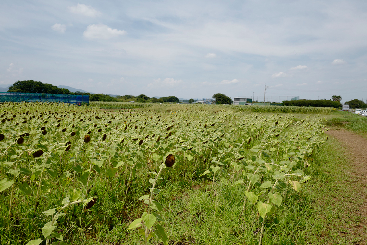 L1010214-001.jpg