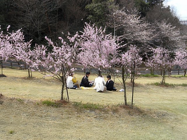 RIMG12103-topaz-standard v2-640w.jpg