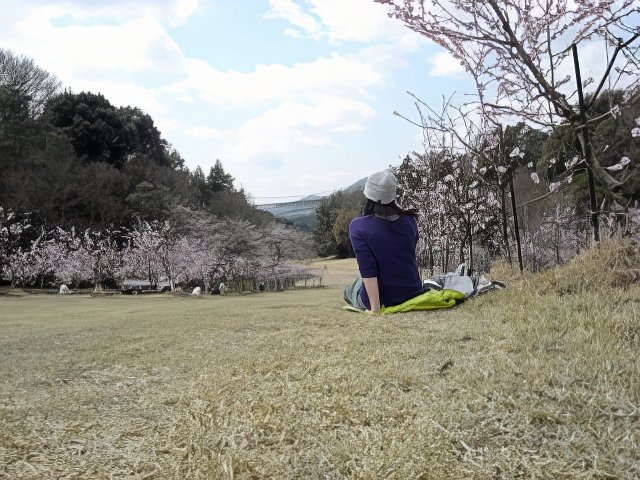 RIMG12161-topaz-low resolution-640w.jpg