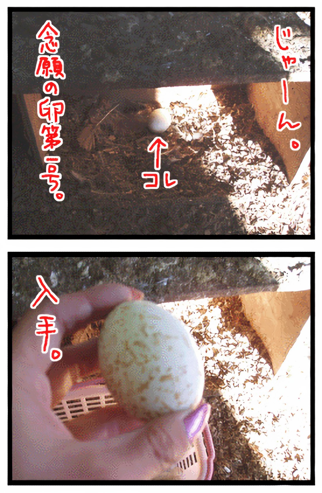 tamago03_digital_art_x4_04.jpg