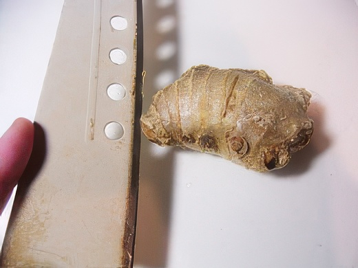 RIMG3484-topaz-standard v2-2x.jpg