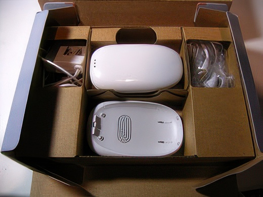 RIMG4270-topaz-standard v2-2x.jpg