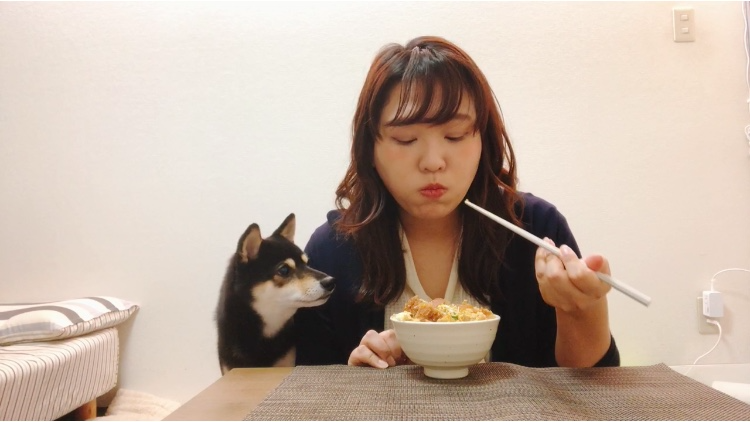 hamkatsu_08.PNG