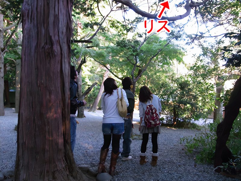14_photos_v2_x2.jpg