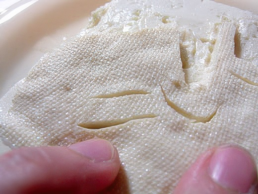 RIMG3467-topaz-standard v2-2x.jpg