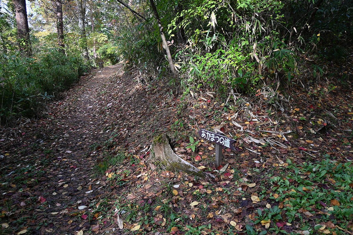 DSC_3152.JPG