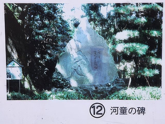 IMG_7192-topaz-standard v2-640w.jpeg