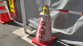 17.gif