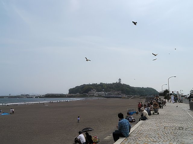 003-topaz-standard v2-640w.jpg