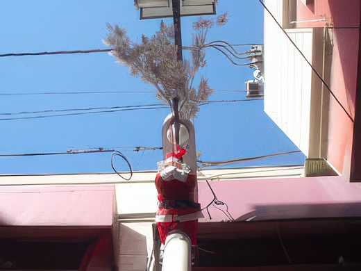 5-2-topaz-standard v2-2x.jpg