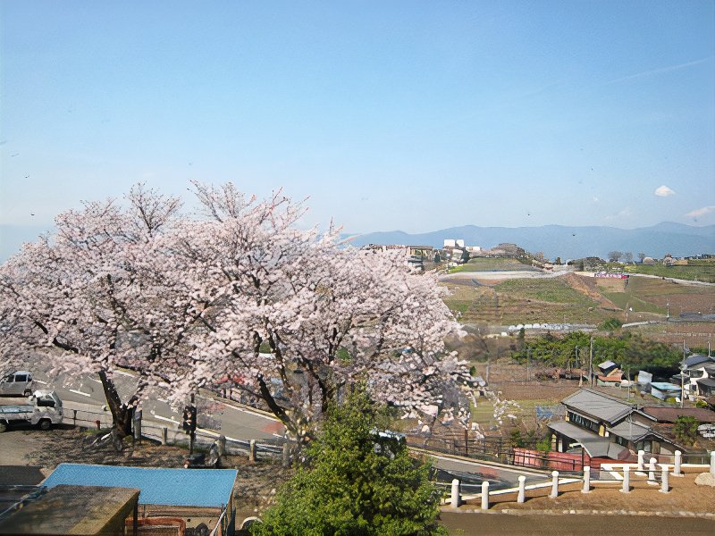 0011_photos_v2_x2.jpg