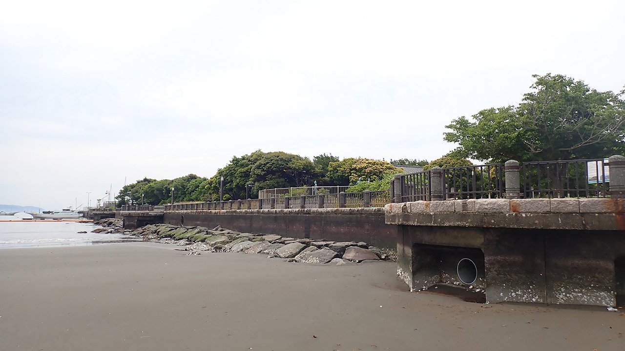 P6053153.jpg