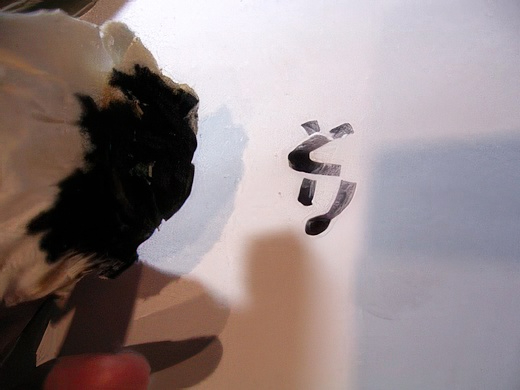 RIMG3433-topaz-standard v2-2x.jpg