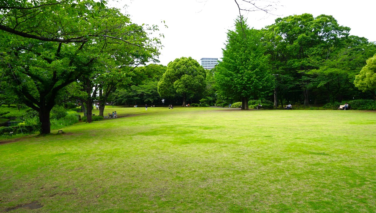 image12.jpg