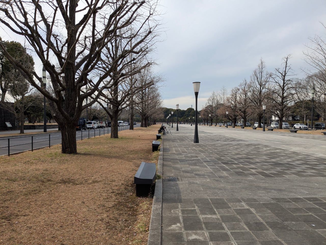 PXL_20260210_044821444.jpg