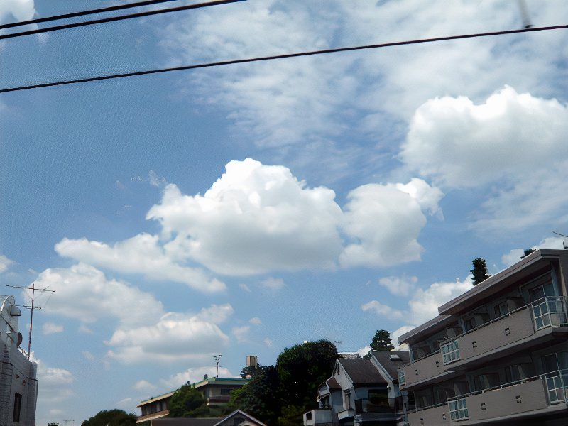 douki-1_photos_v2_x2.jpg