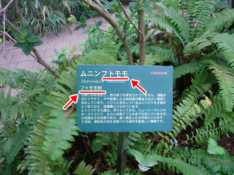 002_photos_v2_x2.jpg