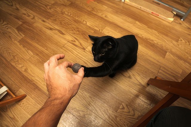 IMG_9831-topaz-standard v2-640w.jpeg