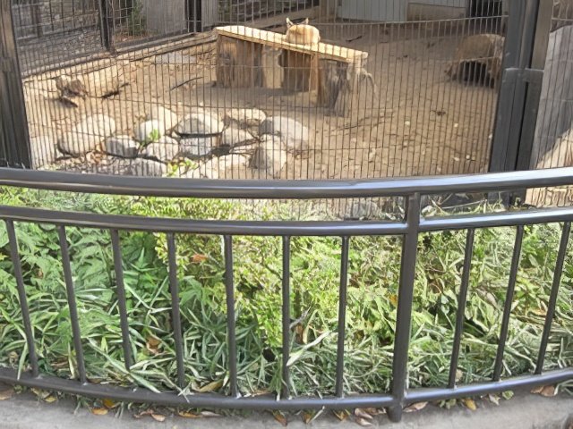 RIMG10012-topaz-low resolution-640w.jpg