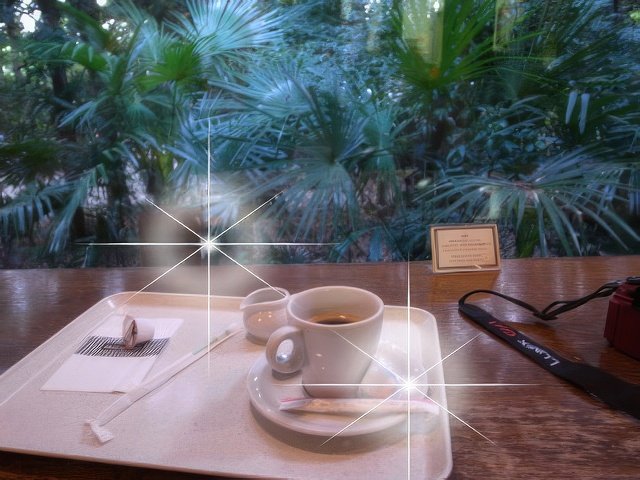 042-topaz-standard v2-640w.jpg