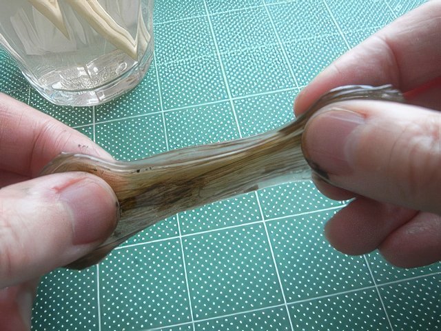 RIMG12798-topaz-standard v2-640w.jpg