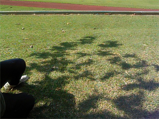 1_1-topaz-standard v2-2x.jpg