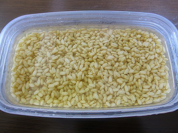 IMG_5134-topaz-standard v2-2x.jpg