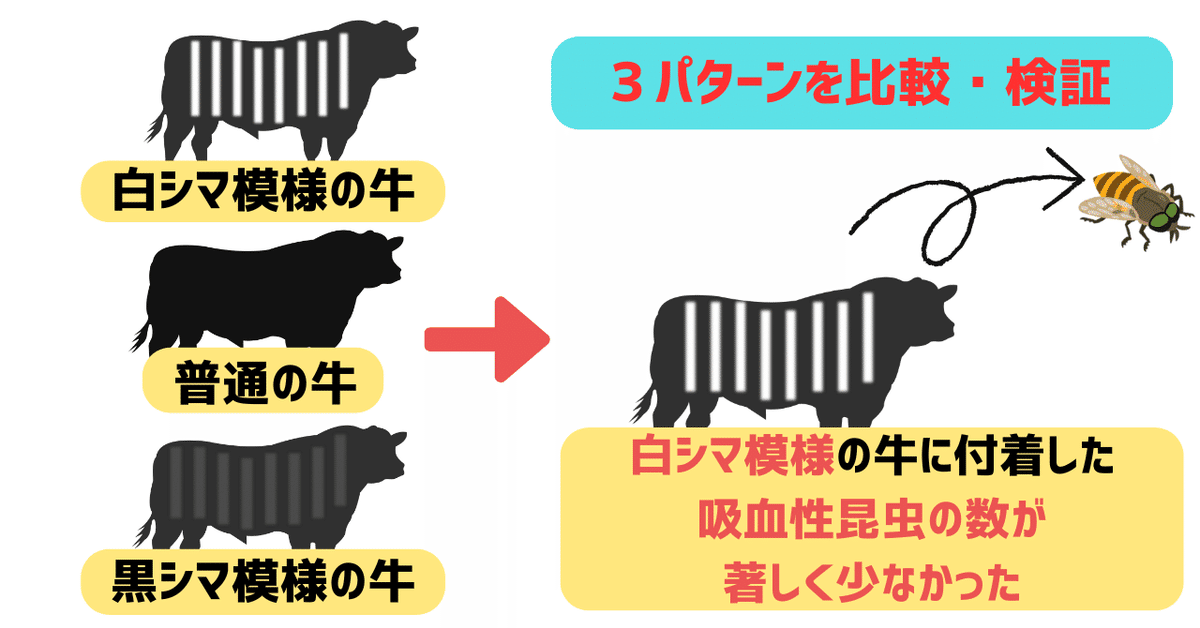 image_s014.png